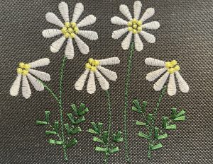 Daisy Flowers & Dandelion Blooms